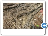 raw_material_for_grey_rattan_basket