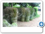 thatch_raw_material